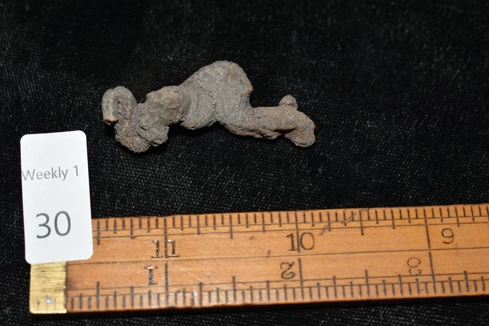 1 3/4" Dinosaur Dung: 1 3/4" Dinosaur Dung