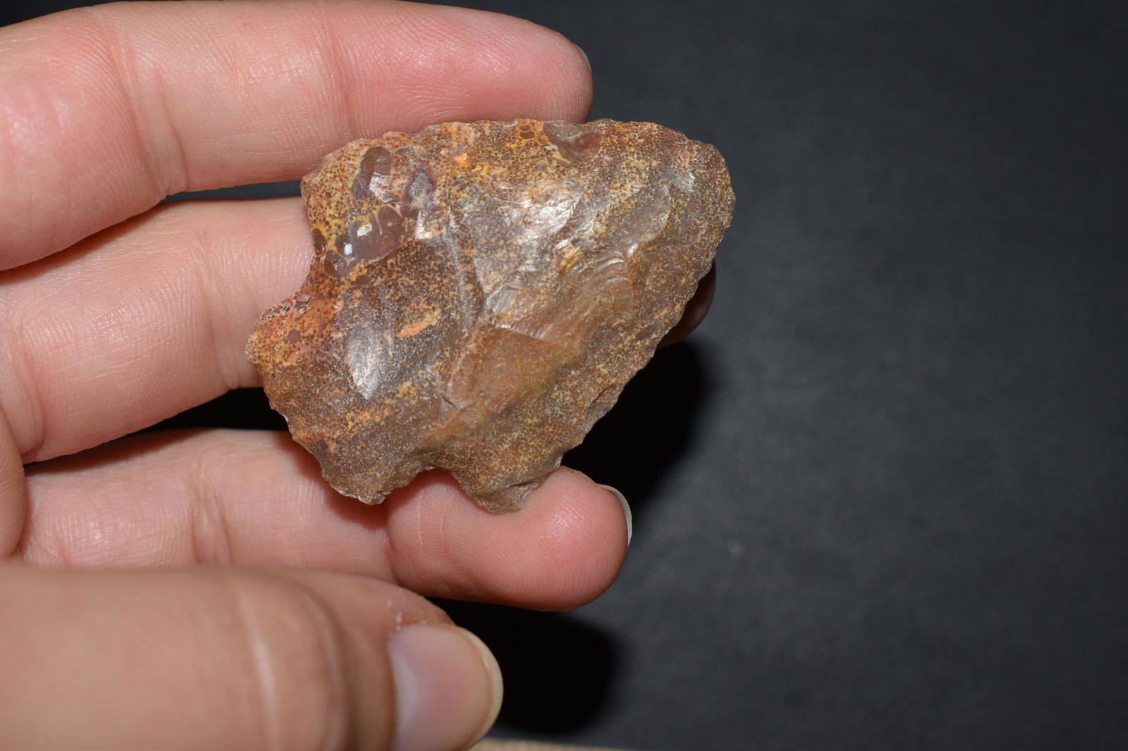 2" Petrified Wood Point, Kansas, Native American (1 of 3)