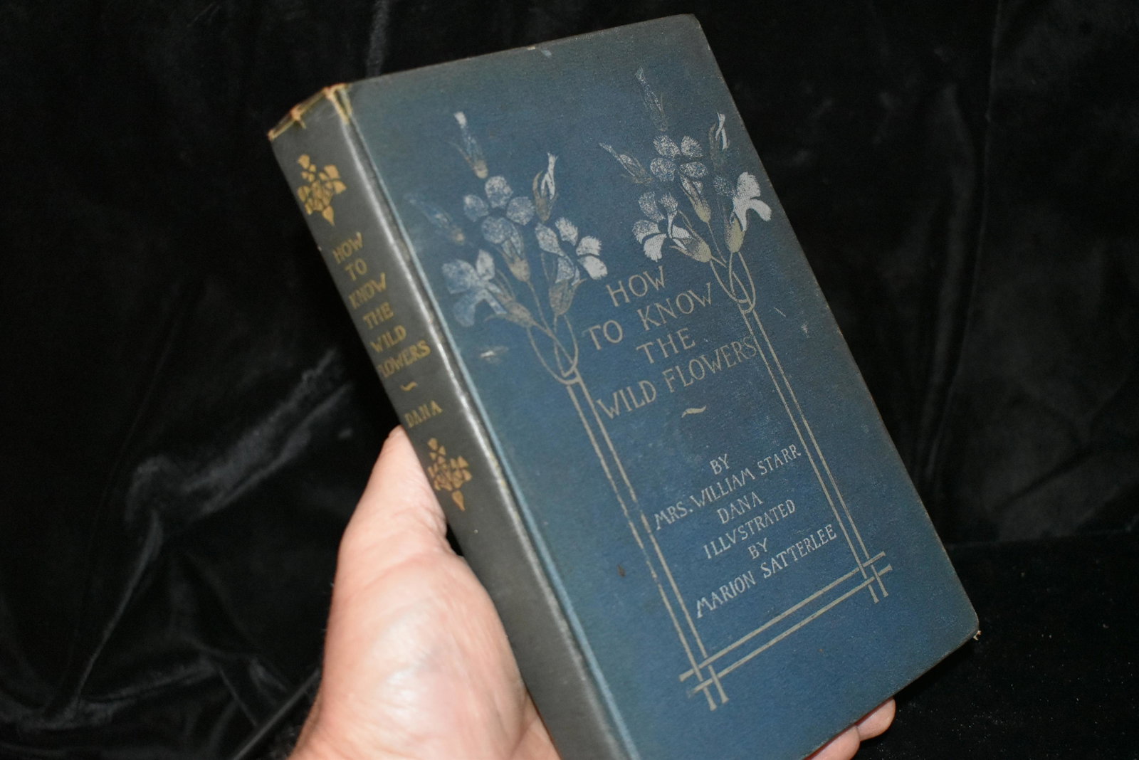 HOW TO KNOW THE WILDFLOWERS 1893 by Mrs William Starr: HOW TO KNOW THE WILDFLOWERS 1893 by Mrs William Starr. New York: Charles Scribners Sons 1893. Publishers original Blue Cloth with gold and white flowers on the cover. Has Illustrated pictures of flowe