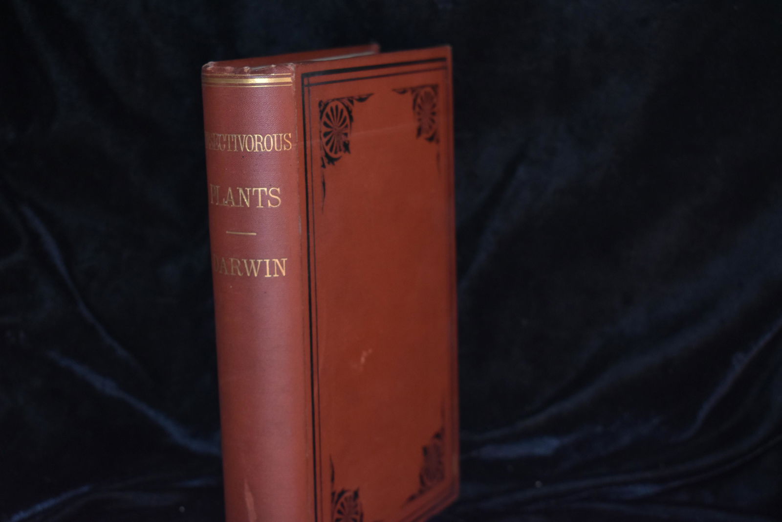 Insectivorous Plants by Charles Darwin 1875 1st Ed (1 of 4)