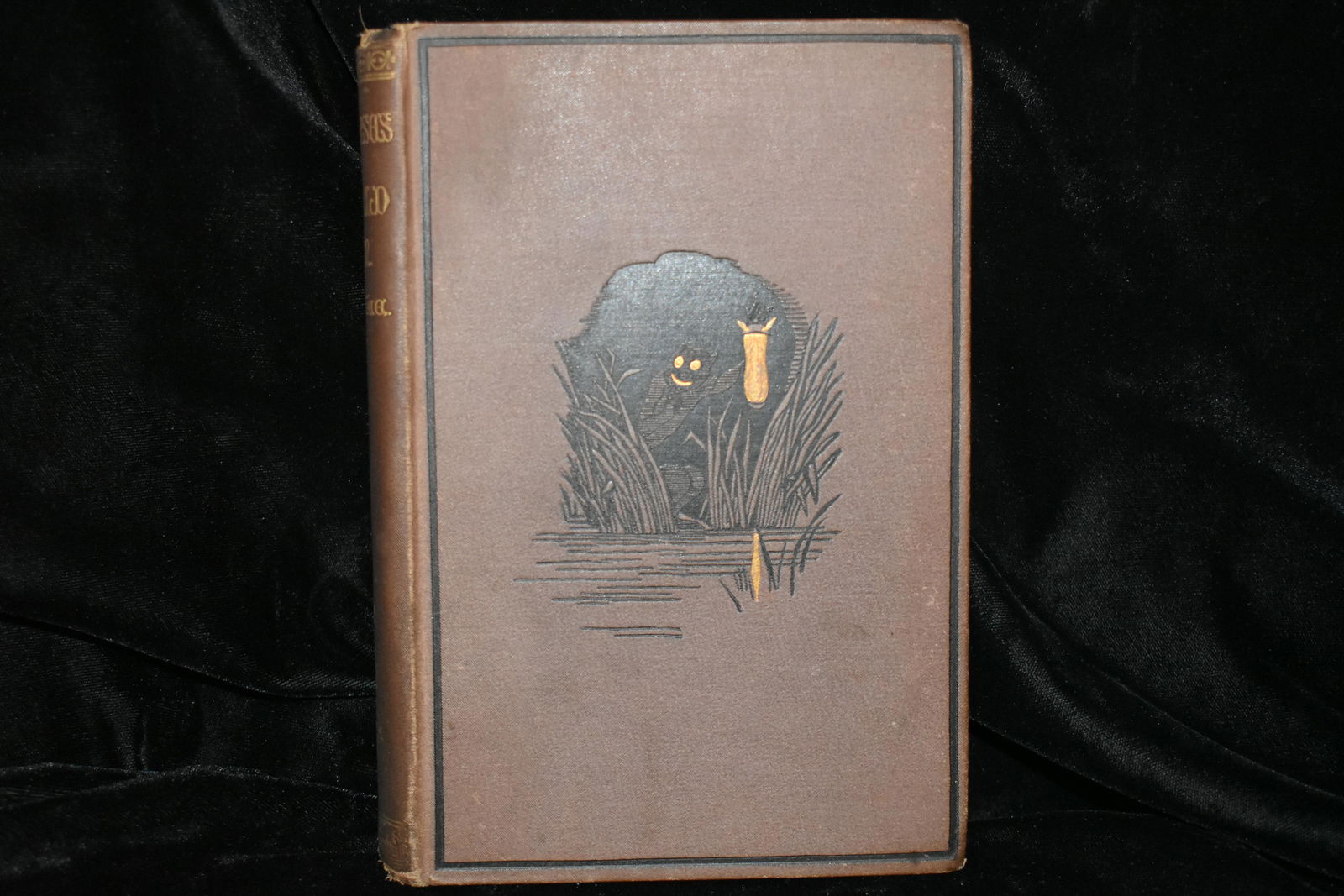 MORE GLIMPSES OF THE WORLD UNSEEN 1878 by Frederick (1 of 4)