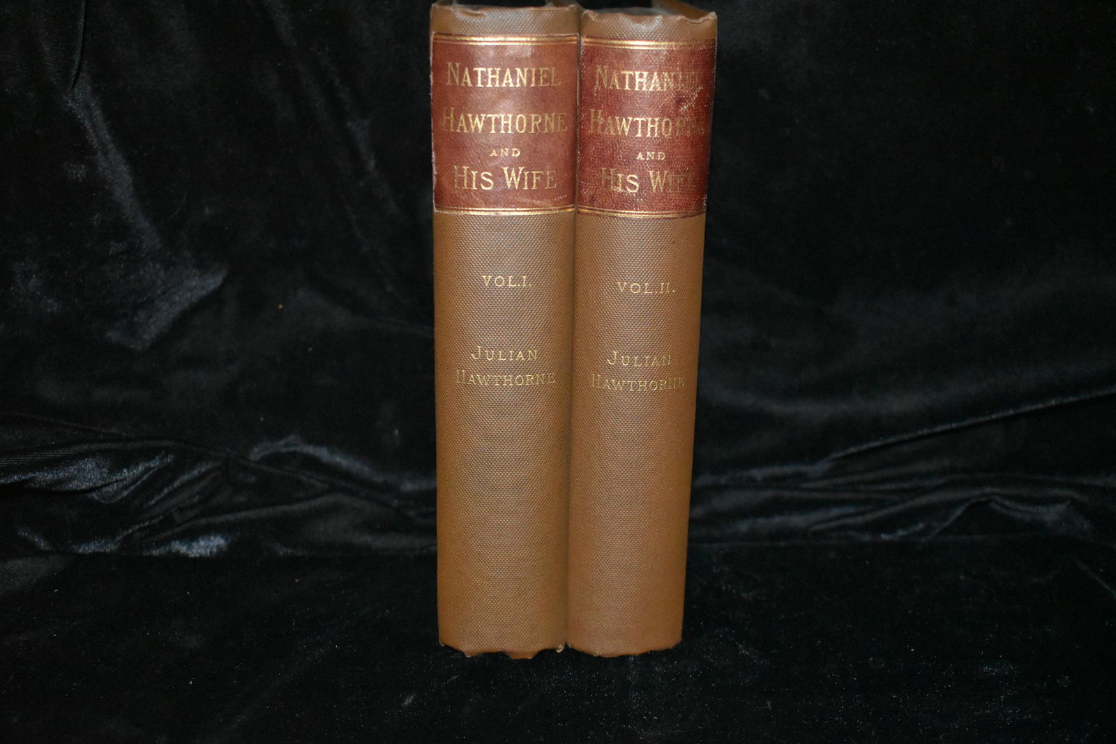 Nathaniel Hawthorne and His Wife 1885 (1 of 4)