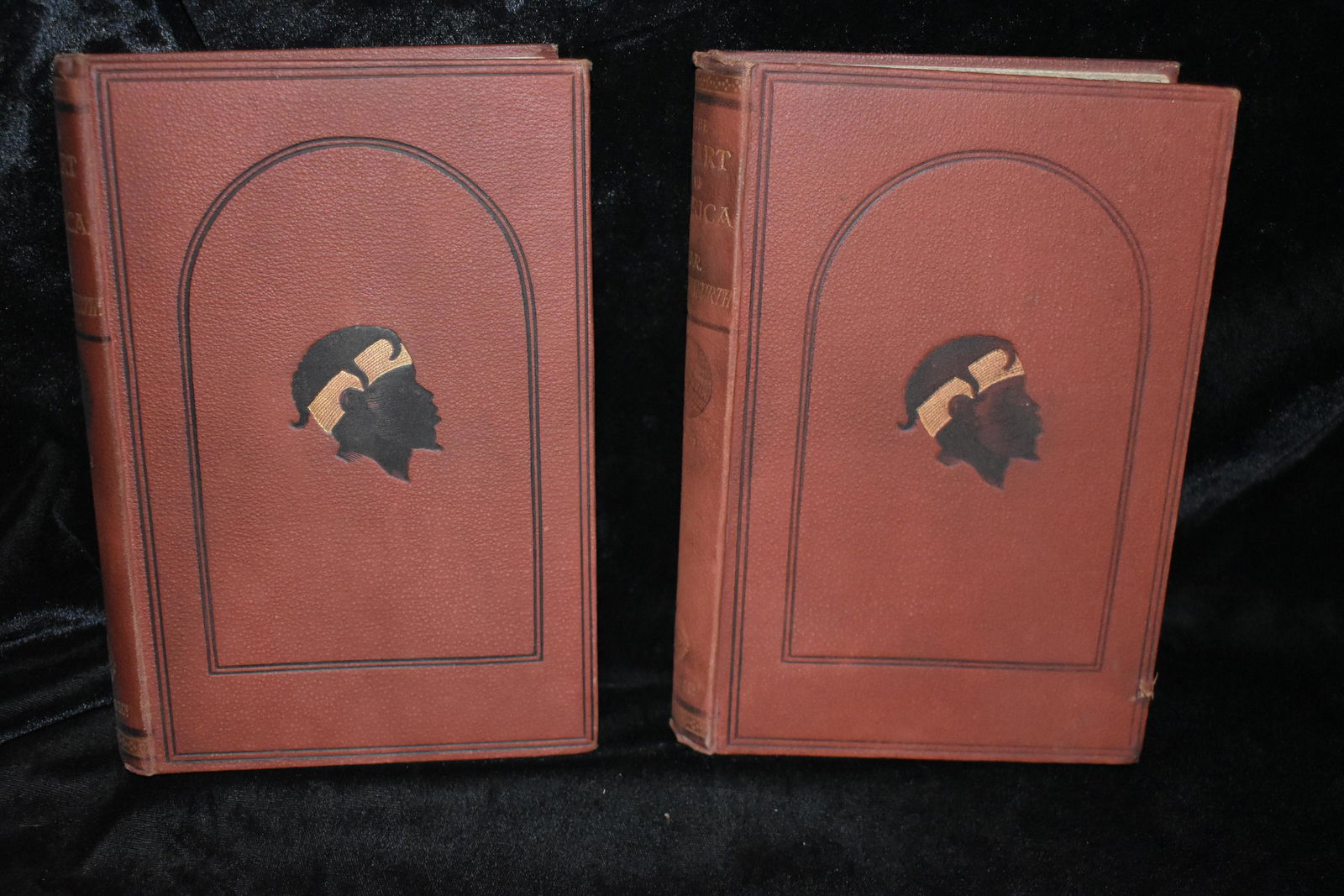 The Heart of Africa 1878 Schweinfurth (1 of 6)