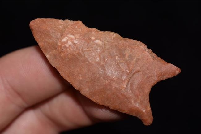 2" Dalton found in Greene Co., Arkansas Partain C.O.A (1 of 5)