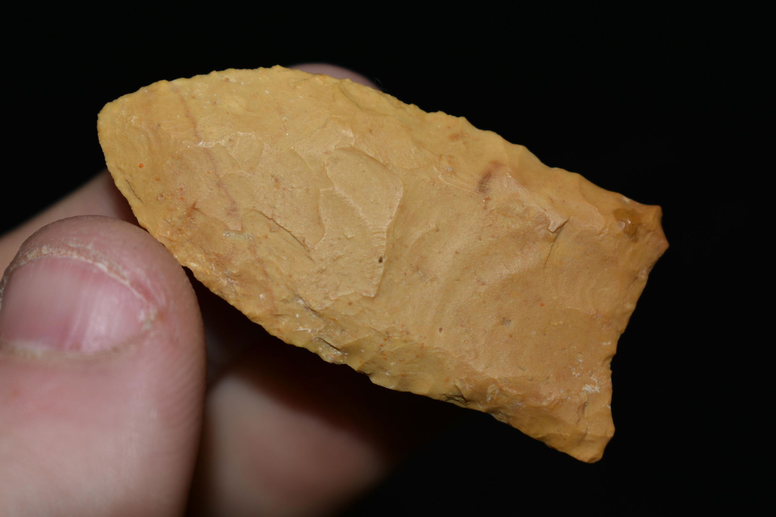 1 3/4" Fluted Clovis found in SE Arkansas, Authentic (1 of 5)