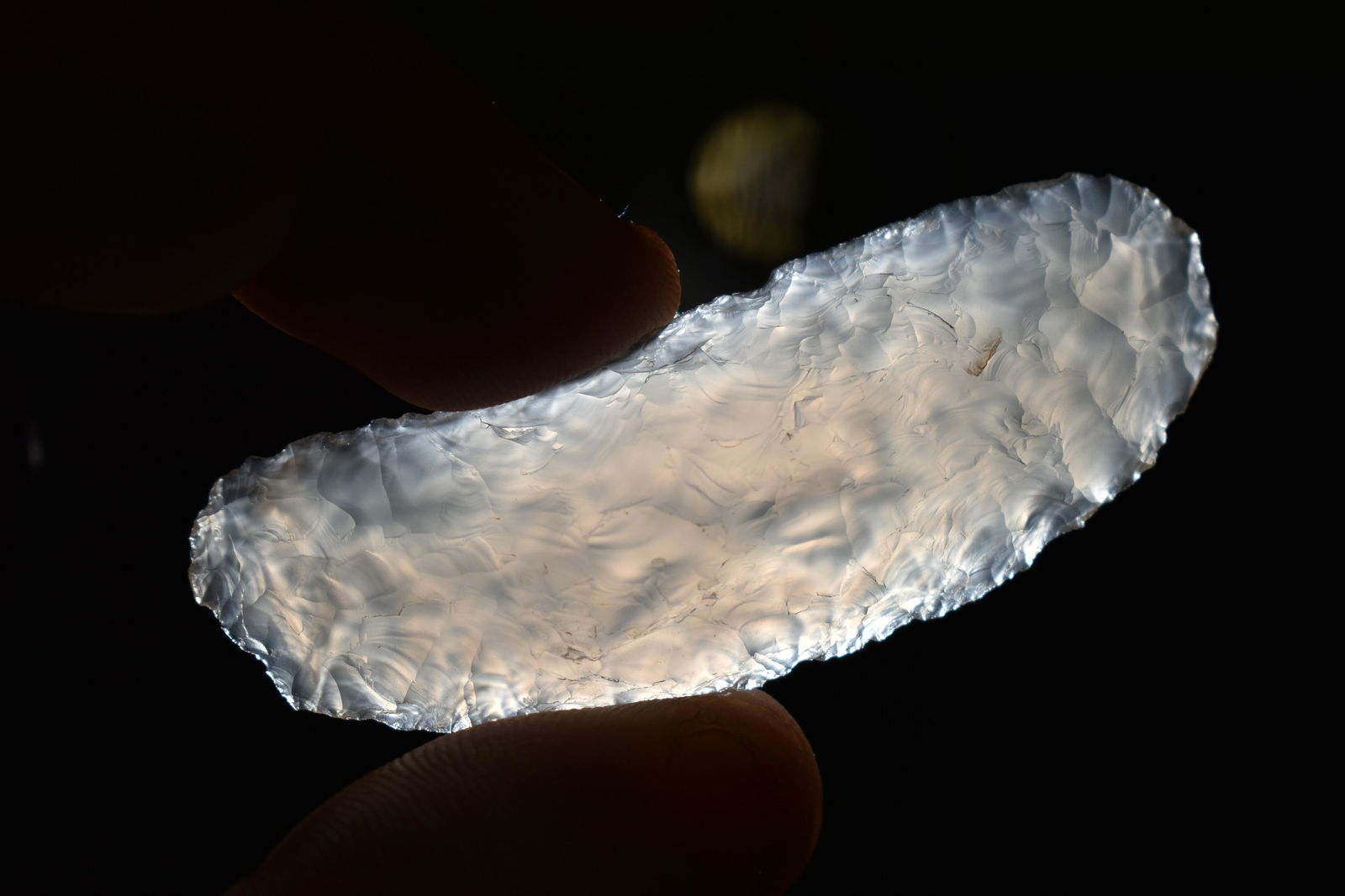 2.1/4" Paleo Agate Crescent Blade, Partain COA, S. CO (1 of 5)