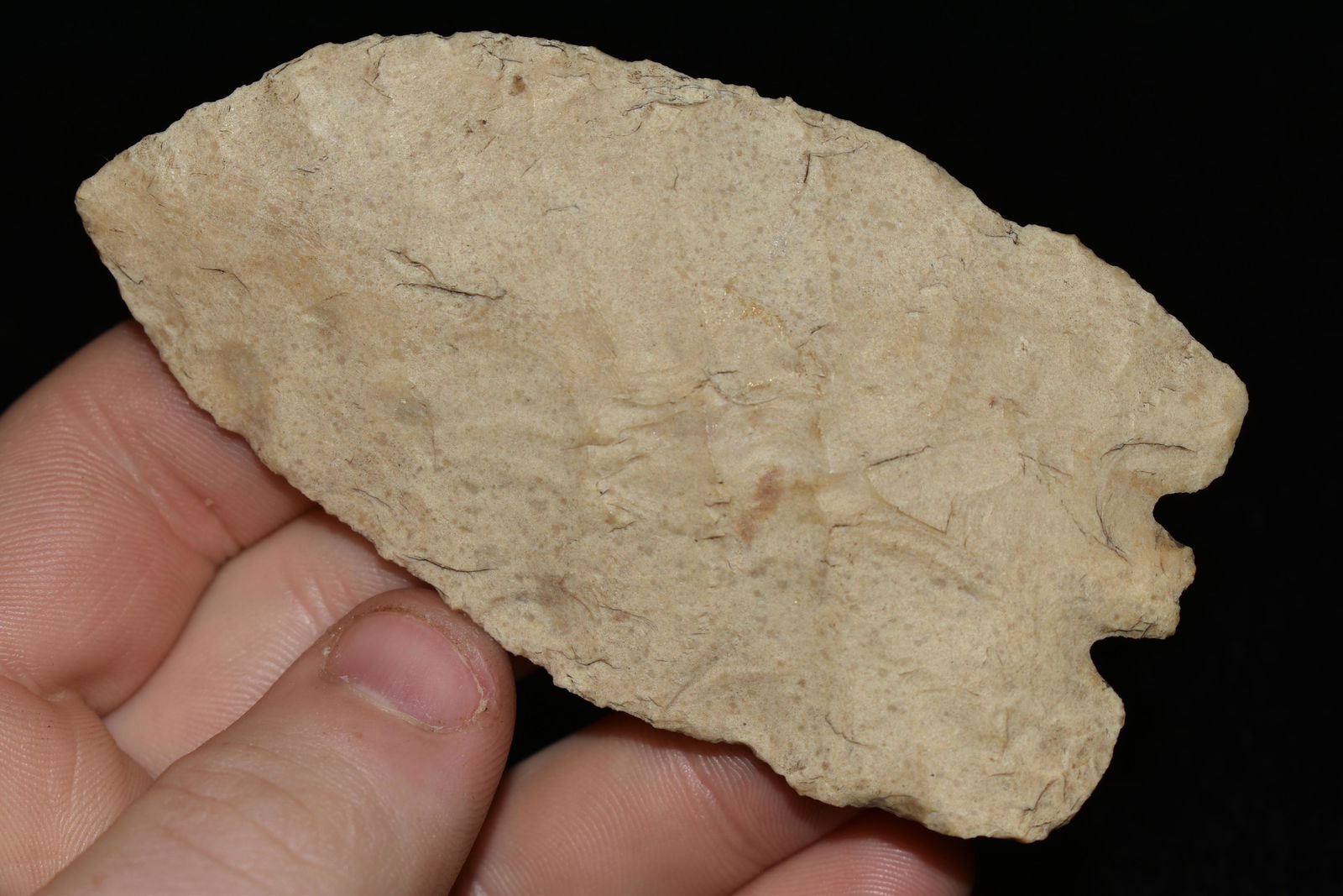 3 7/16" Archaic Base Tang Knife, Dickey/Rogers COA (1 of 7)