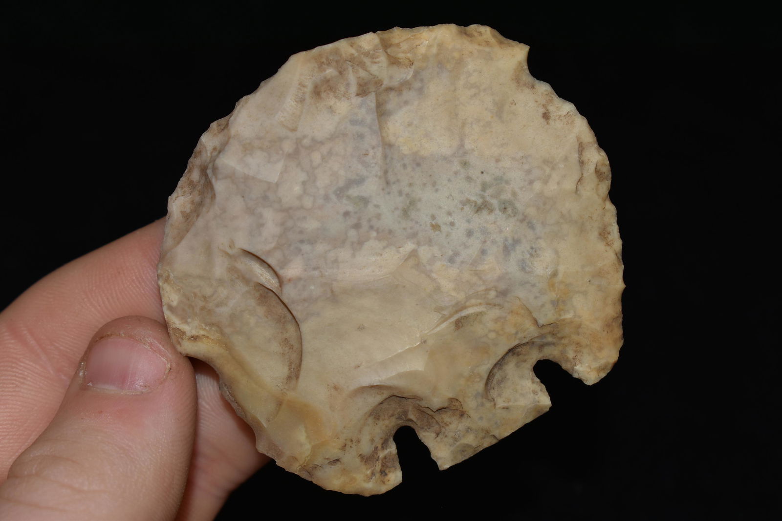 2 7/16" Basal Tang Knife Central Texas Dickey COA (1 of 5)