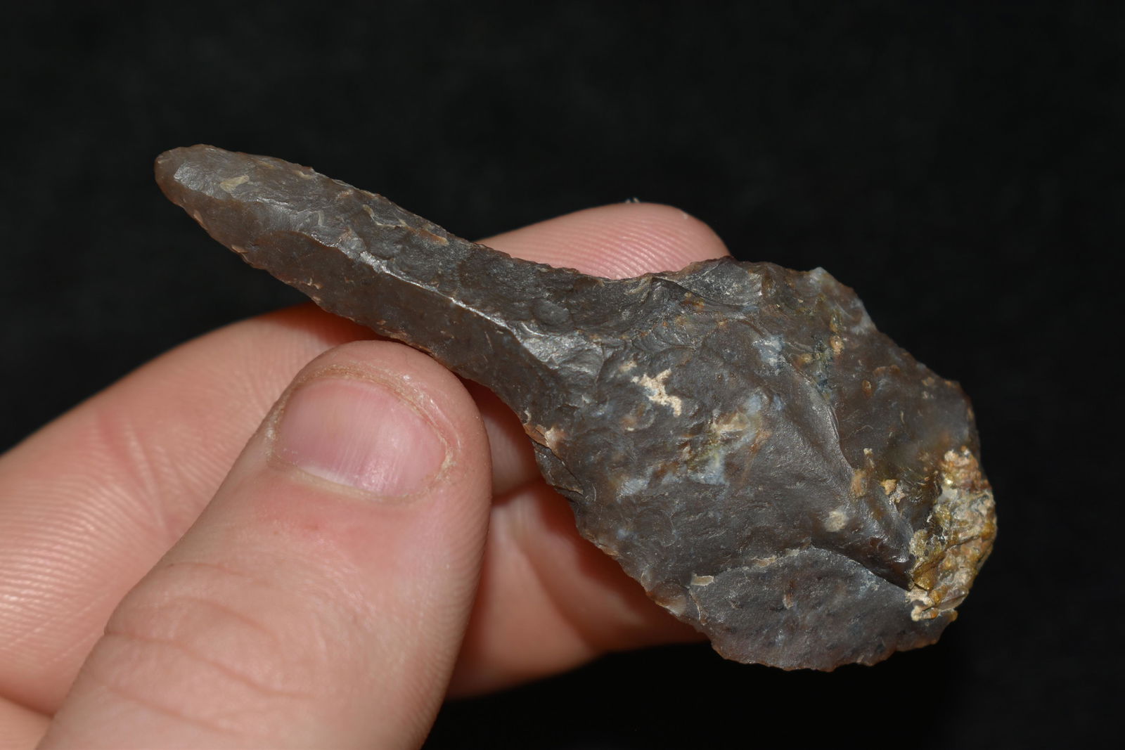 2 1/2" Paddle Drill Colorado Ex Robert Walter, (1 of 4)