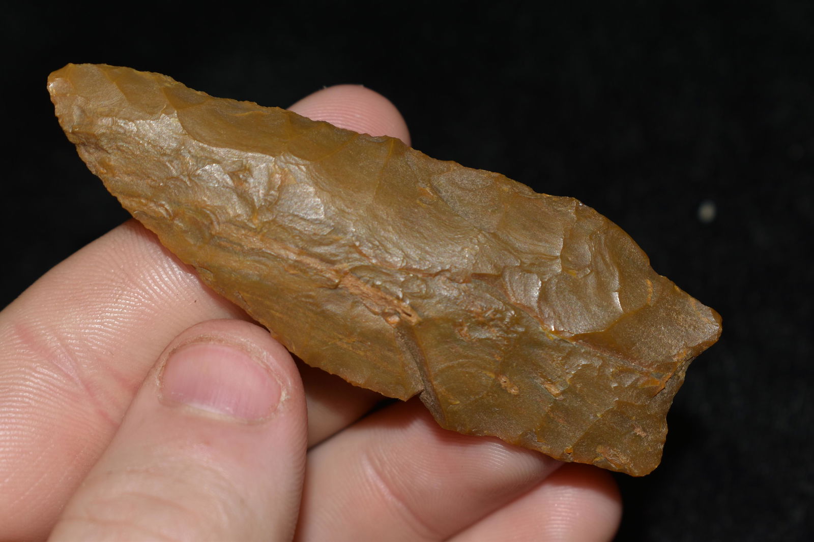 2 7/8" Dalton found in Colorado, Ex. Robert Walter (1 of 4)