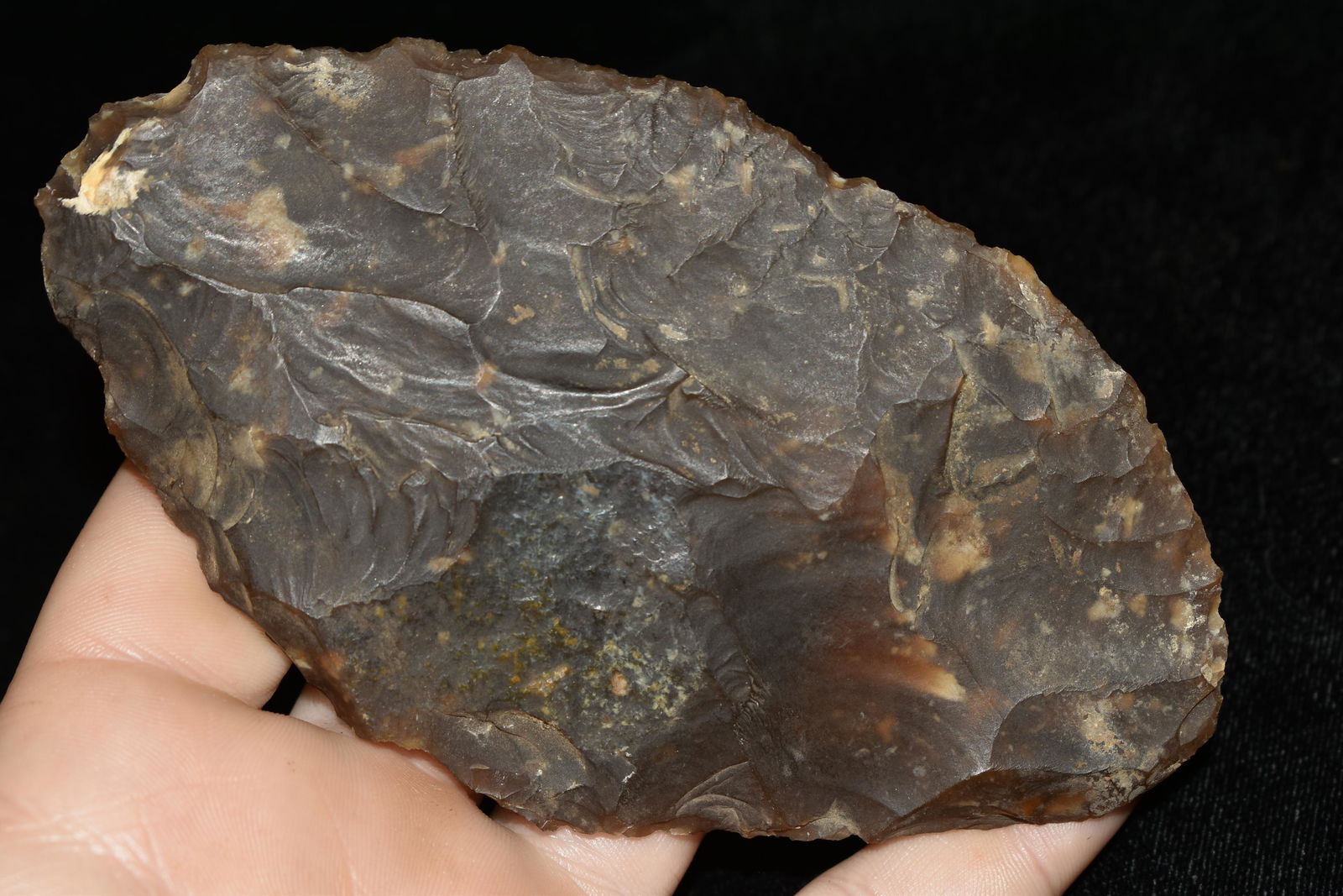 4 7/8" Paleo Blade, North Dakota, Ex. Robert Walter (1 of 5)