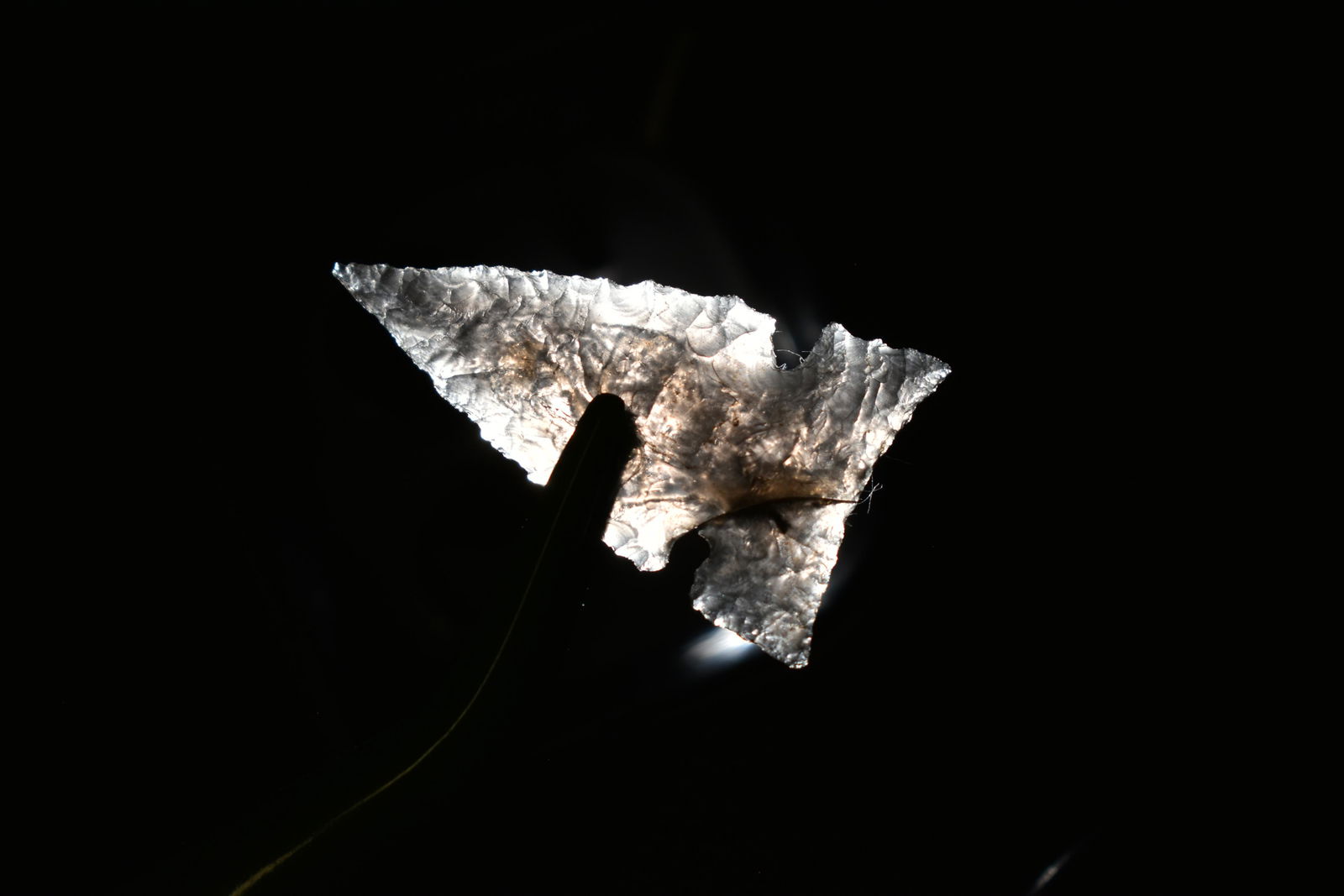 1 1/4" Northern Point Personal Find of Col. Philip B Wa (1 of 4)