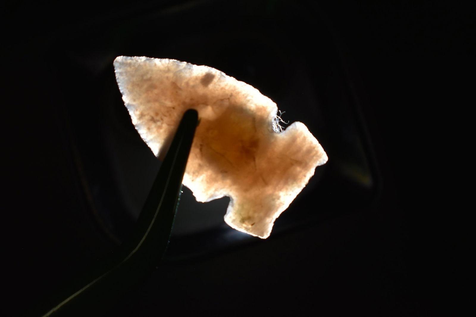 1 1/8" Northern Point Personal Find of Col. Philip B Wa (1 of 4)