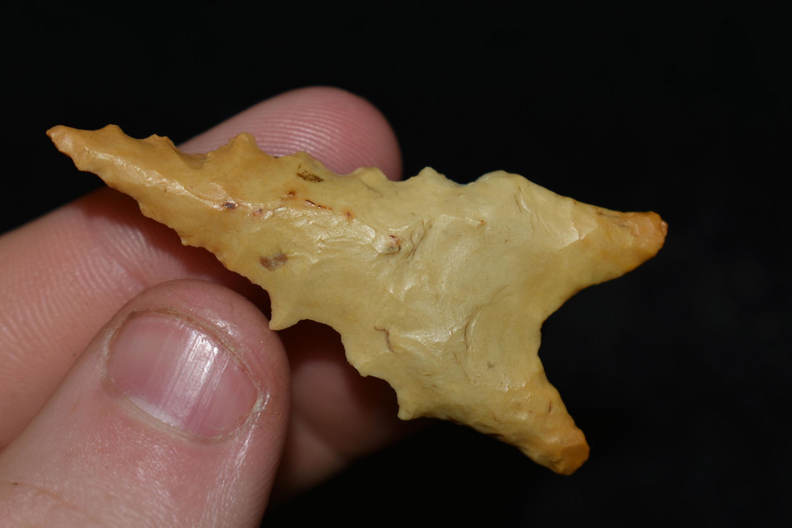 1 7/8" Heavily Beveled/Serrated Dalton found in (1 of 4)