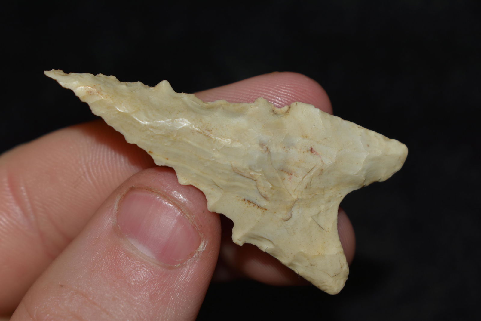 2" Highly Serrated/Beveled Dalton found in Arkansas (1 of 4)