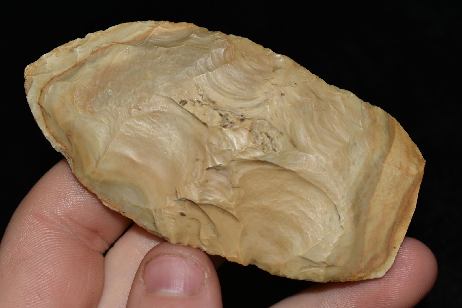 3 3/8" Blade found in Arkansas Authentic Native (1 of 4)