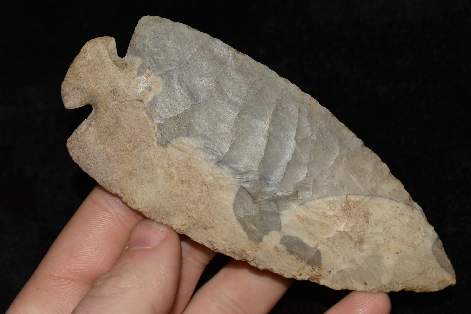 4 3/4" Dovetail, Ross Co., Ohio, Rogers C.O.A, Pictured (1 of 8)