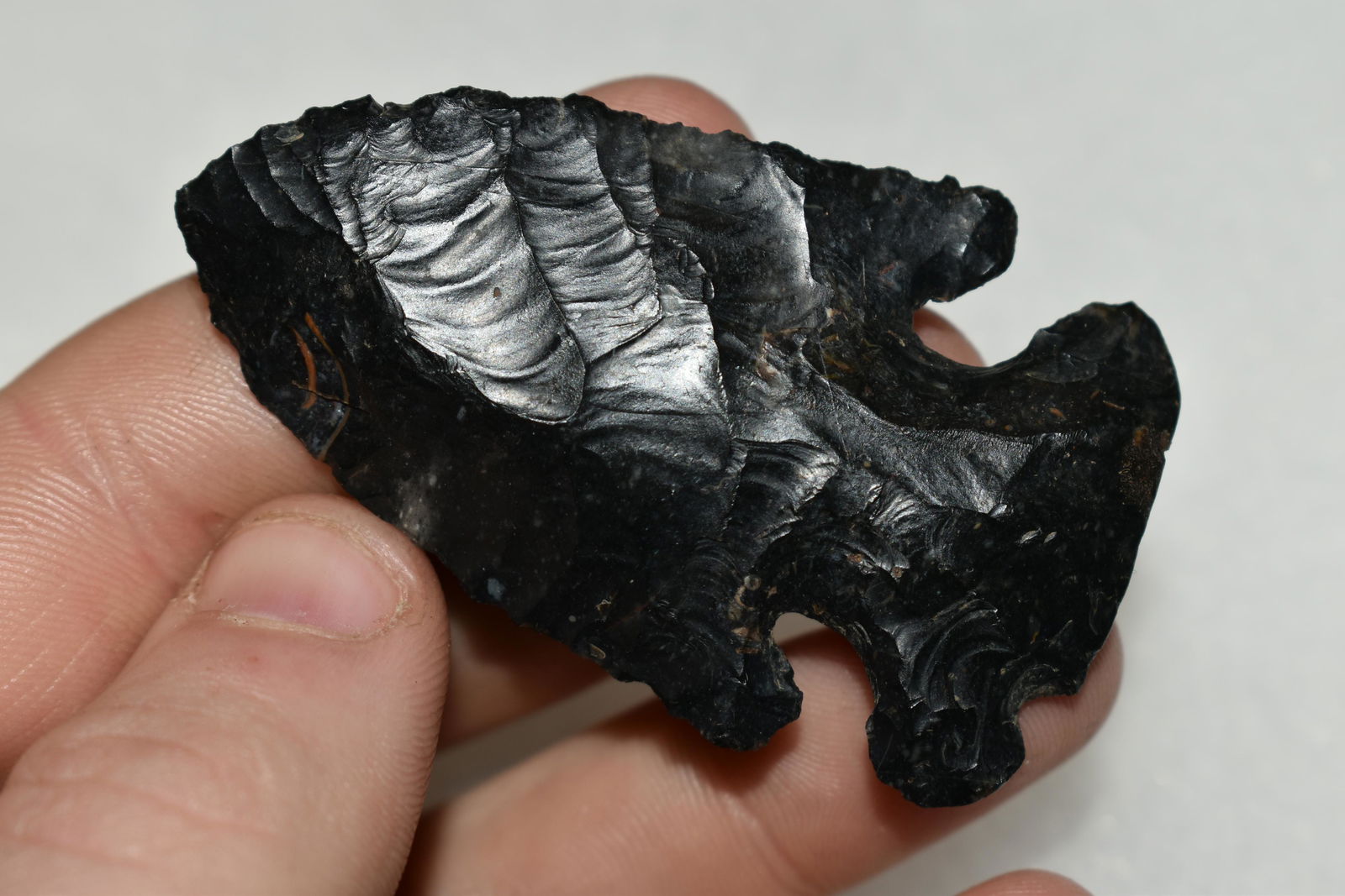 2 3/8" Thebes found in Wayene Co., Ohio, Very Finely (1 of 7)