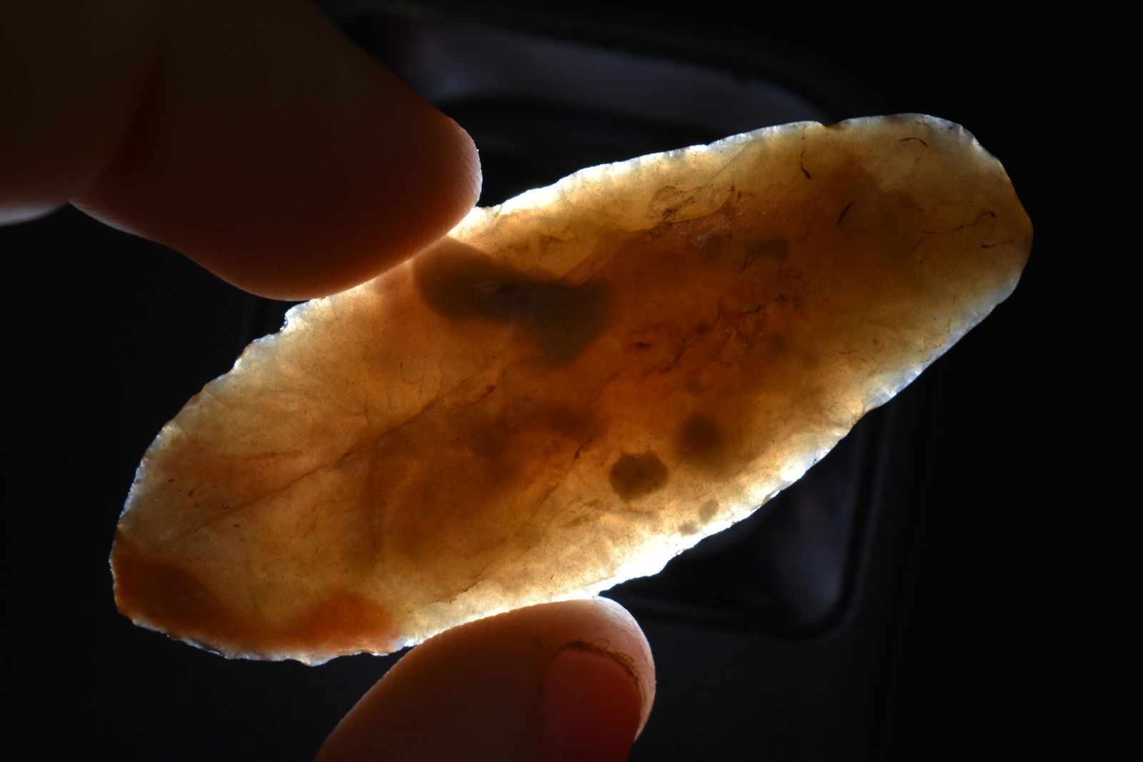 Highly Translucent 2 1/8" Hell Gap, Motley COA (1 of 7)