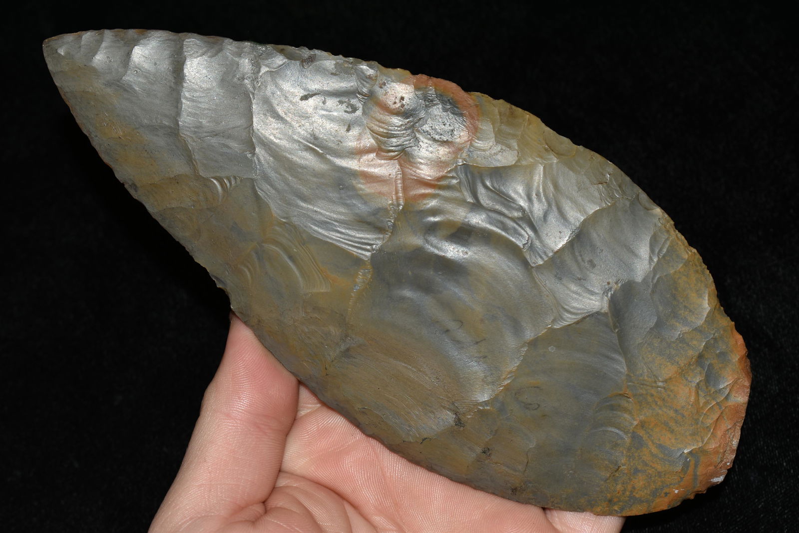 Massive 7" Hornstone Cache Blade, found in Adams Co., (1 of 7)