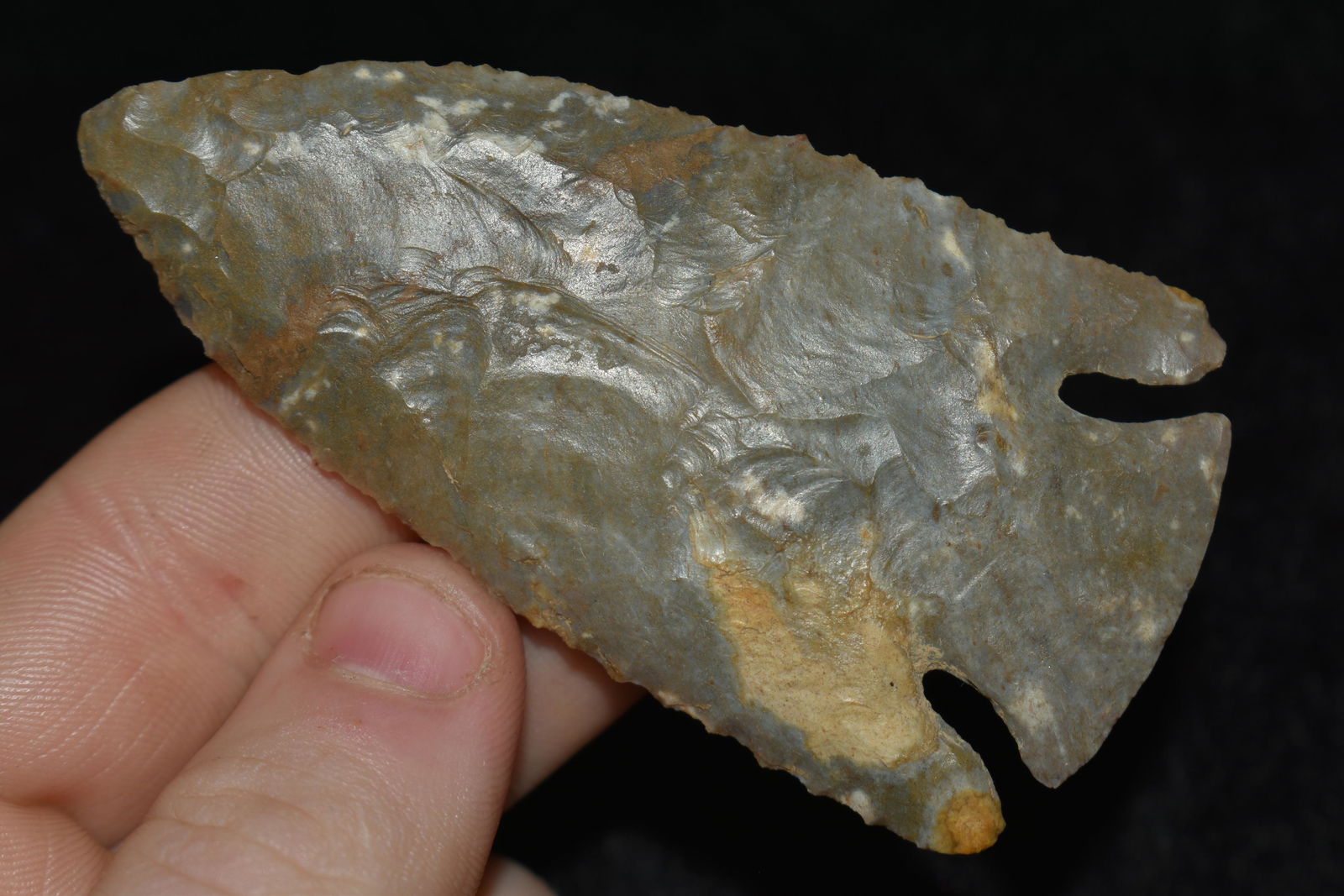 3 1/4" Lost Lake Dickey / Perino COA Central Kentucky (1 of 8)