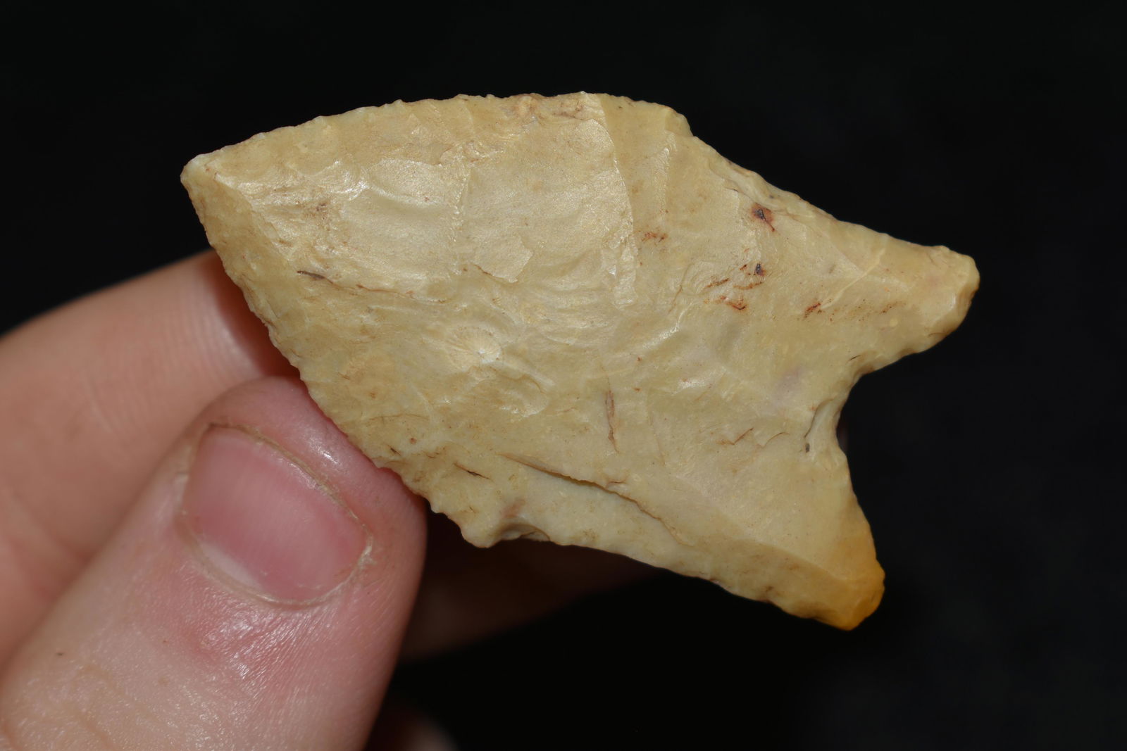 1 7/8" Pelican Point found in Union CO., Arkansas (1 of 4)