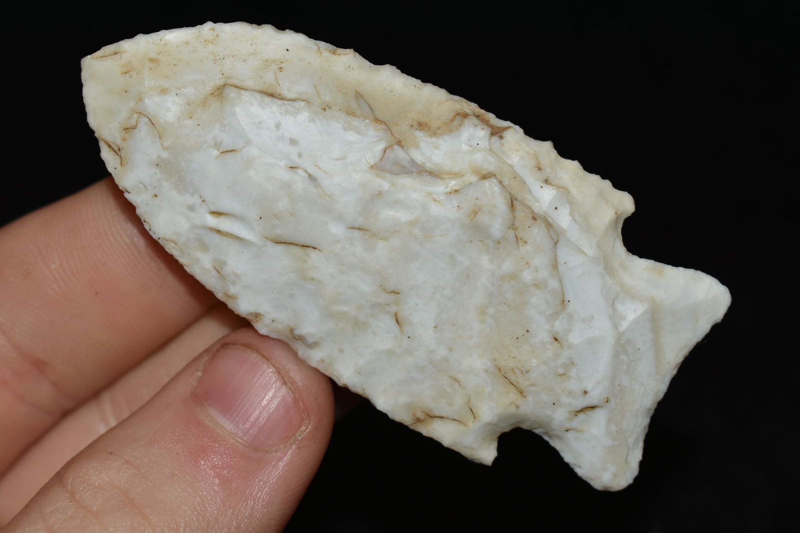 2 3/4" Stillwell found in Madison Co., Illinois (1 of 4)