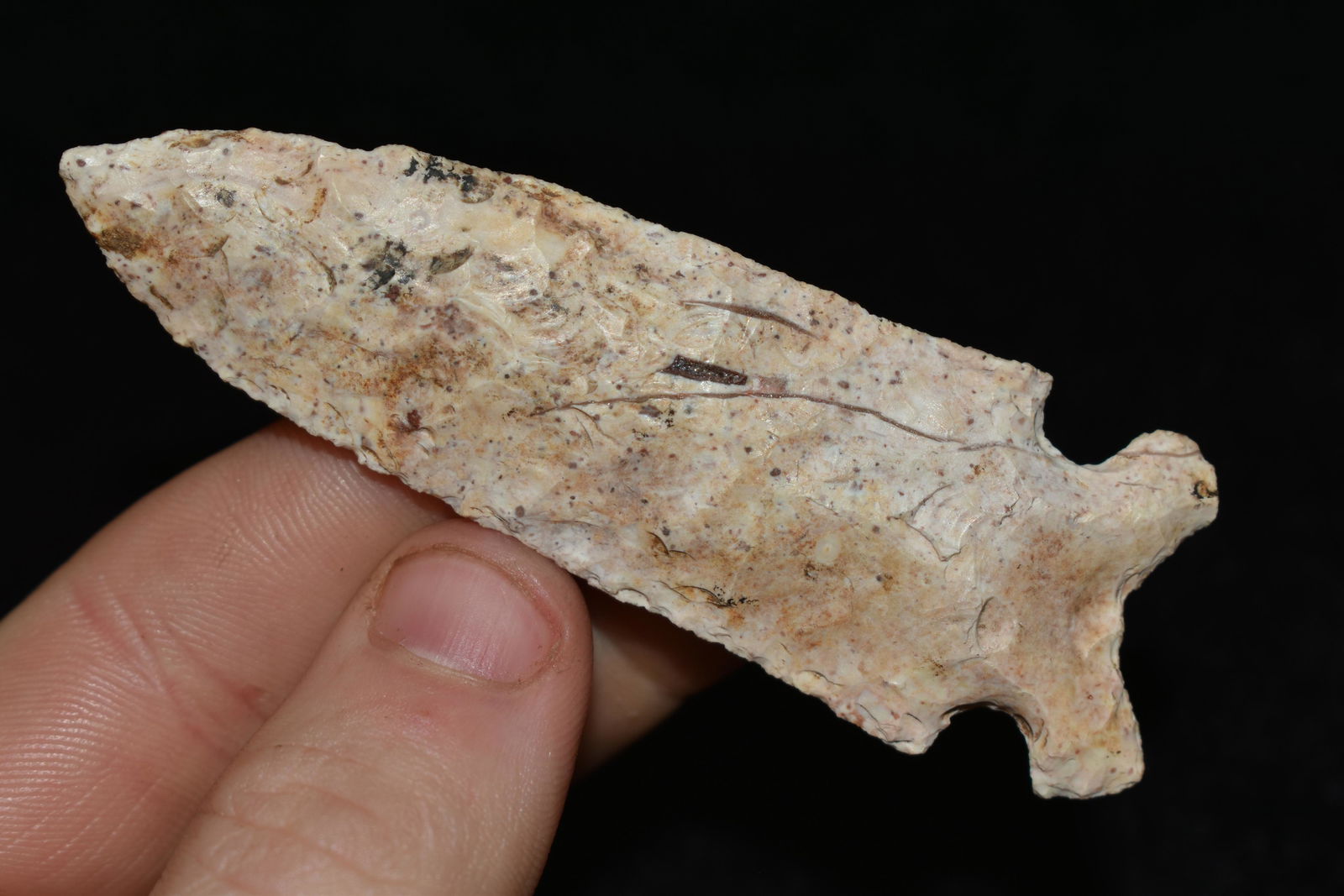 3 1/4" Graham Cave found in Saline Co., Missouri (1 of 4)