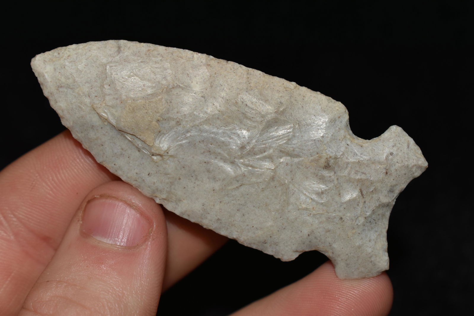 3 1/4" Graham Cave found in Saline Co., Missouri (1 of 4)