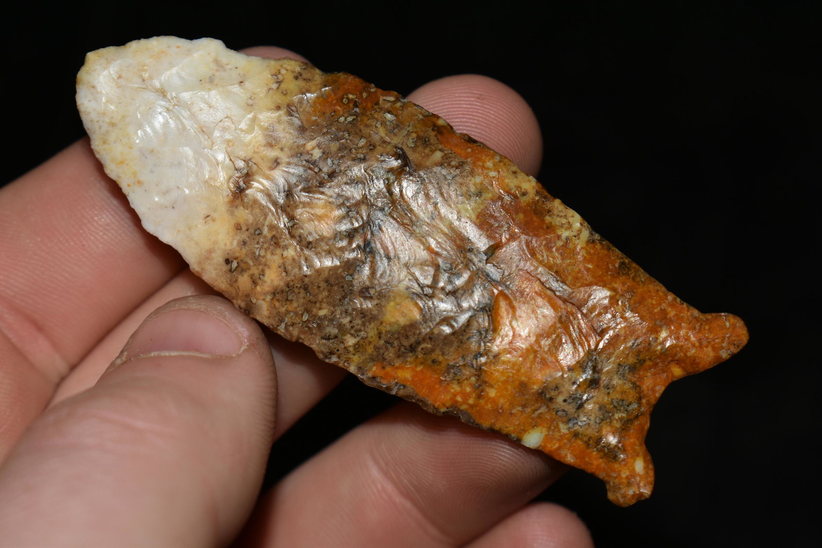 2 3/4" Pike County Dalton found in Pike Co., Illinois, (1 of 5)