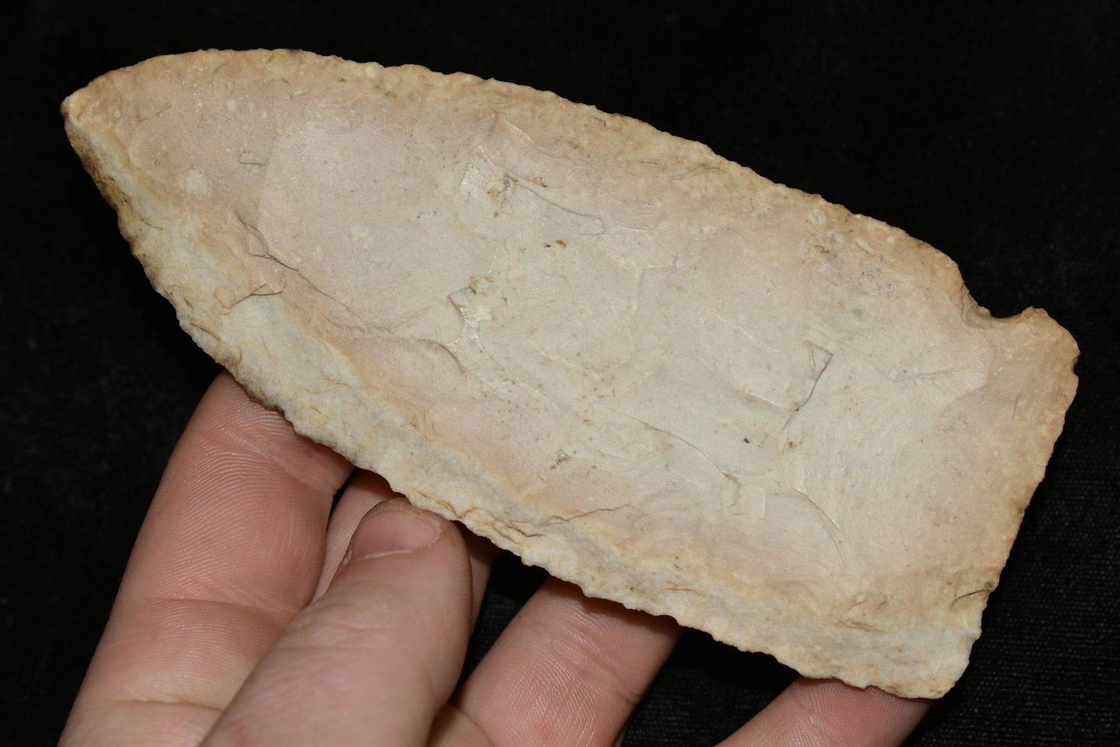 5 1/4" Single Notched Blade found in Fulton Co., Illino (1 of 5)