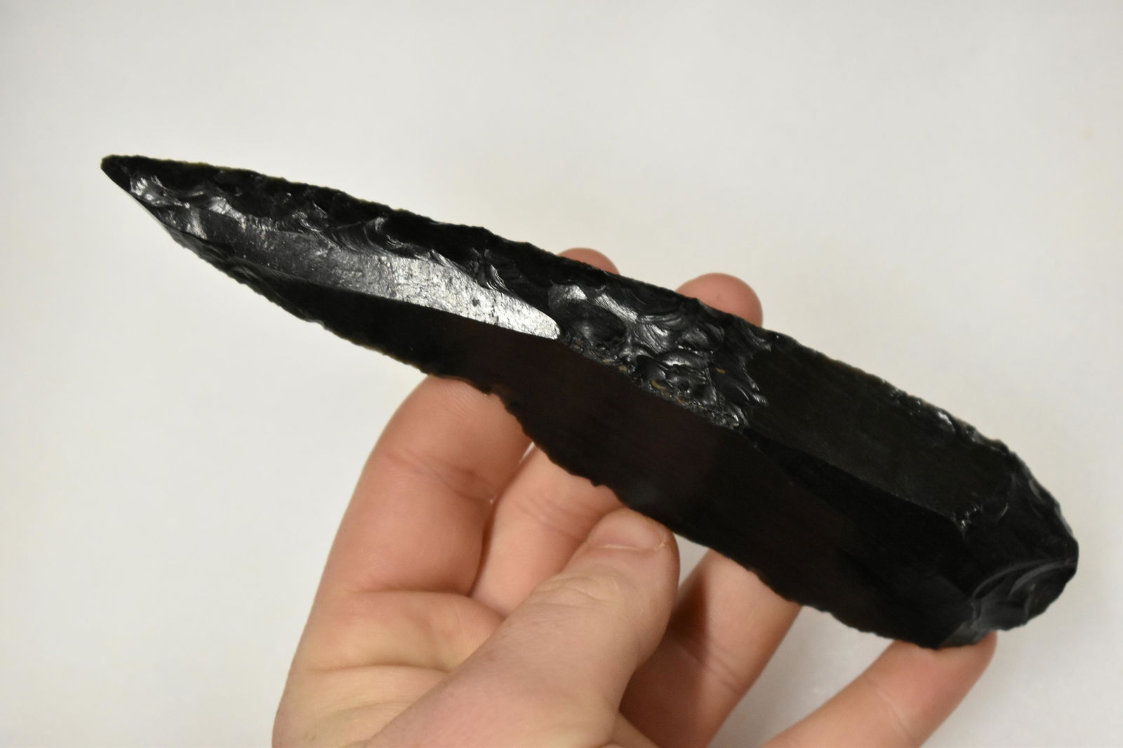 6 1/2" Paleo Duck Bill found in Grant Co., Oregon (1 of 4)