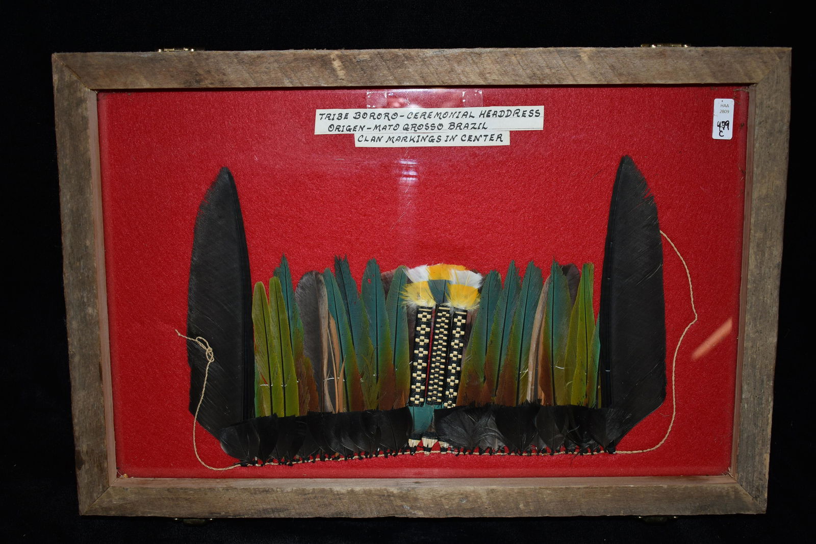 Frame containing 12" x 18" Bororo Tribe - Ceremonial He (1 of 3)