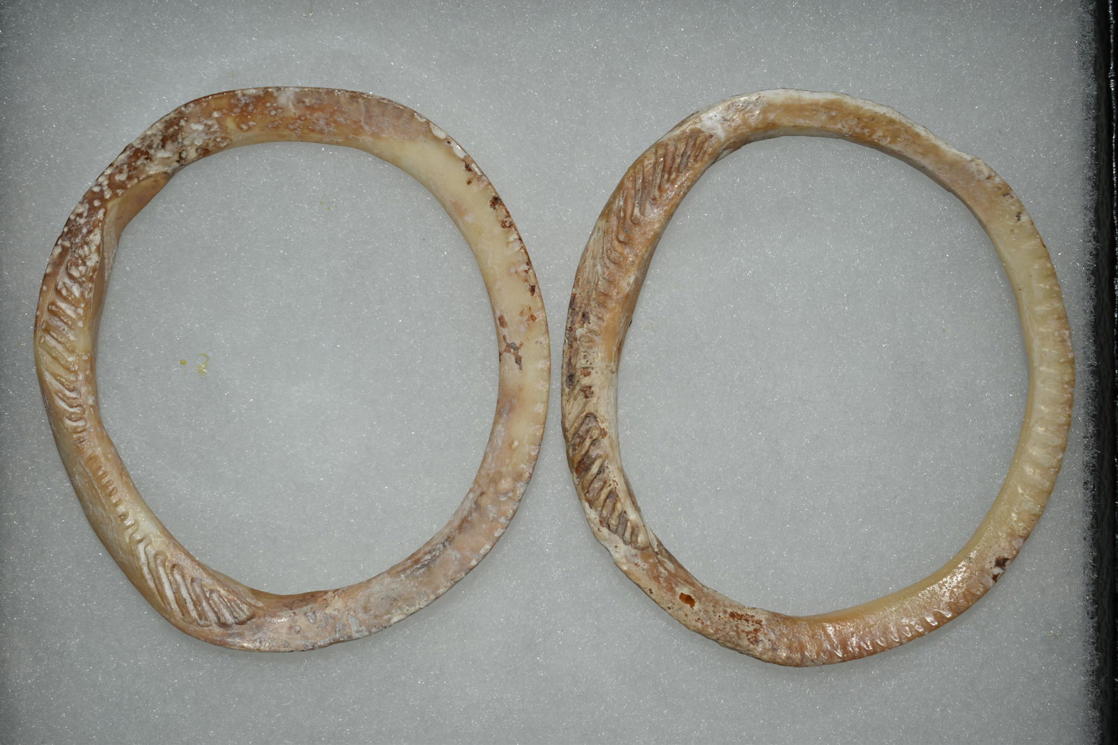 Lot of 2 Shell Bracelets found S/West or N. Mexico Auth (1 of 3)