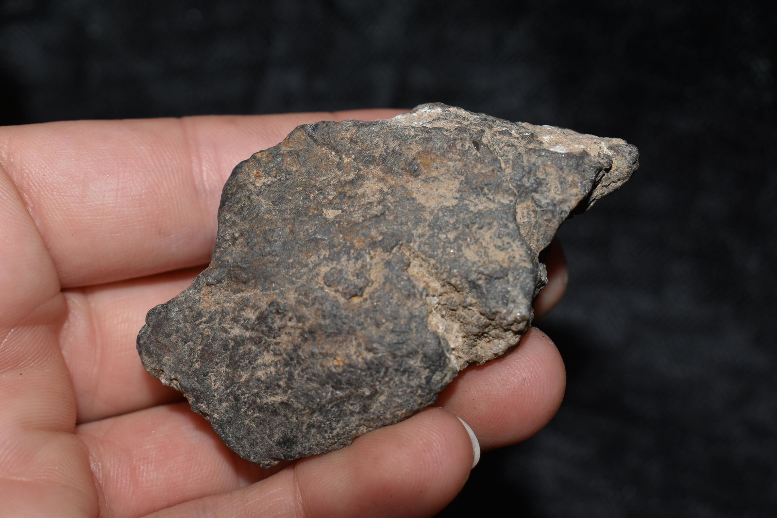 2 3/4" Del Toro Meteorite: 2 3/4" Del Toro Meteorite
