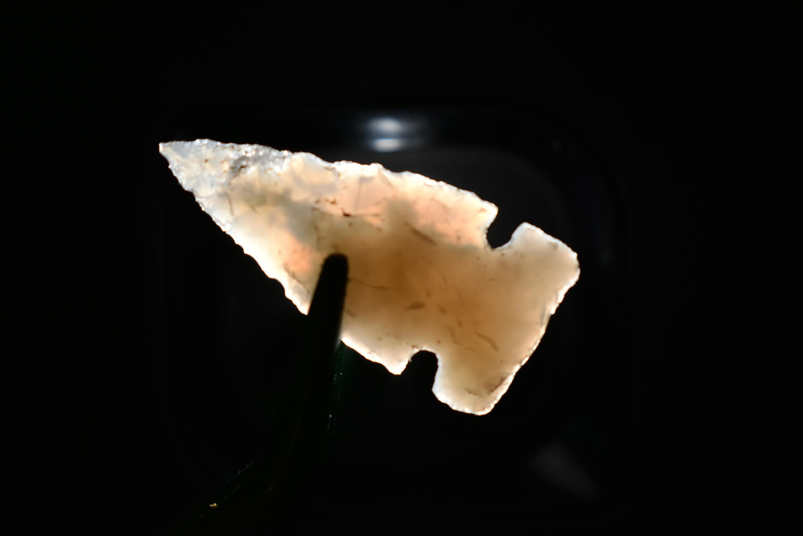 1 1/8" logan creek, Chalcedony, Found in Musselshell,: 1 1/8" logan creek, Chalcedony, Found in Musselshell, Montana. Creel Poore was born and raised in Musselshell, Montana where he found his first arrowhead at a very early age. This led Creel on a lifet