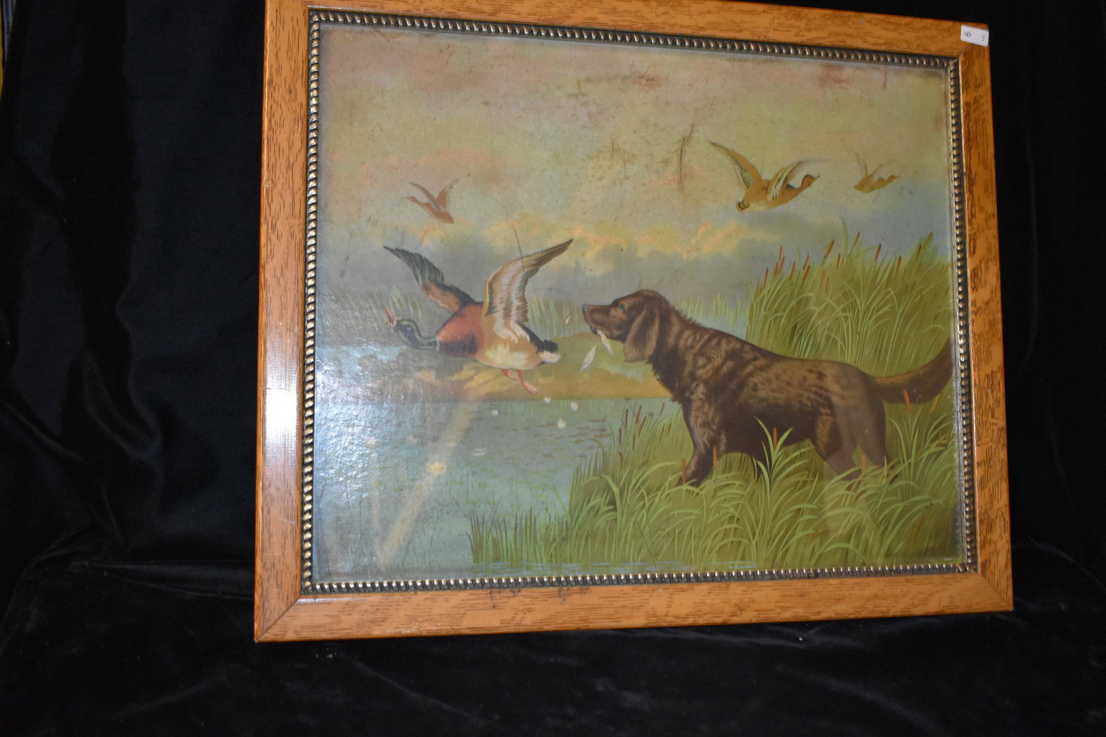 18 1/2x22 1/2" Framed Vintage Print of Hunting Dog,: 18 1/2x22 1/2" Framed Vintage Print of Hunting Dog, Antiques