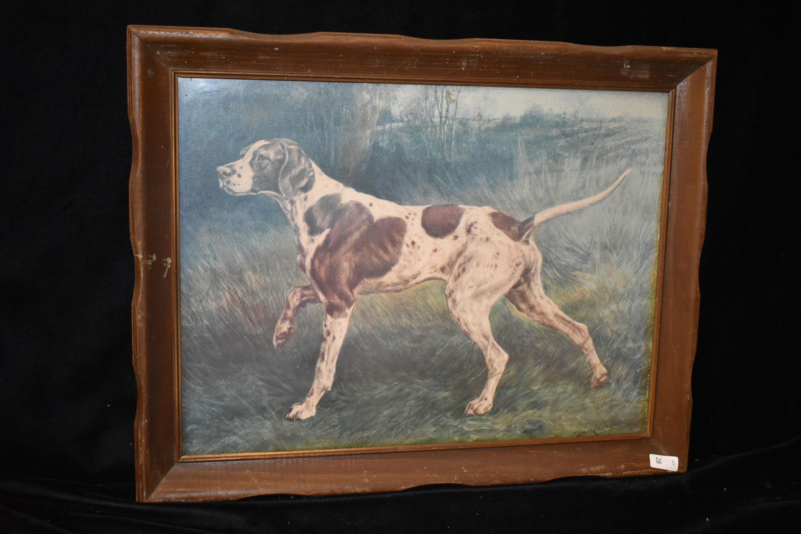 14x18" Vintage Framed Print of English Pointer by: 14x18" Vintage Framed Print of English Pointer by Edmund Osttaus, Antiques