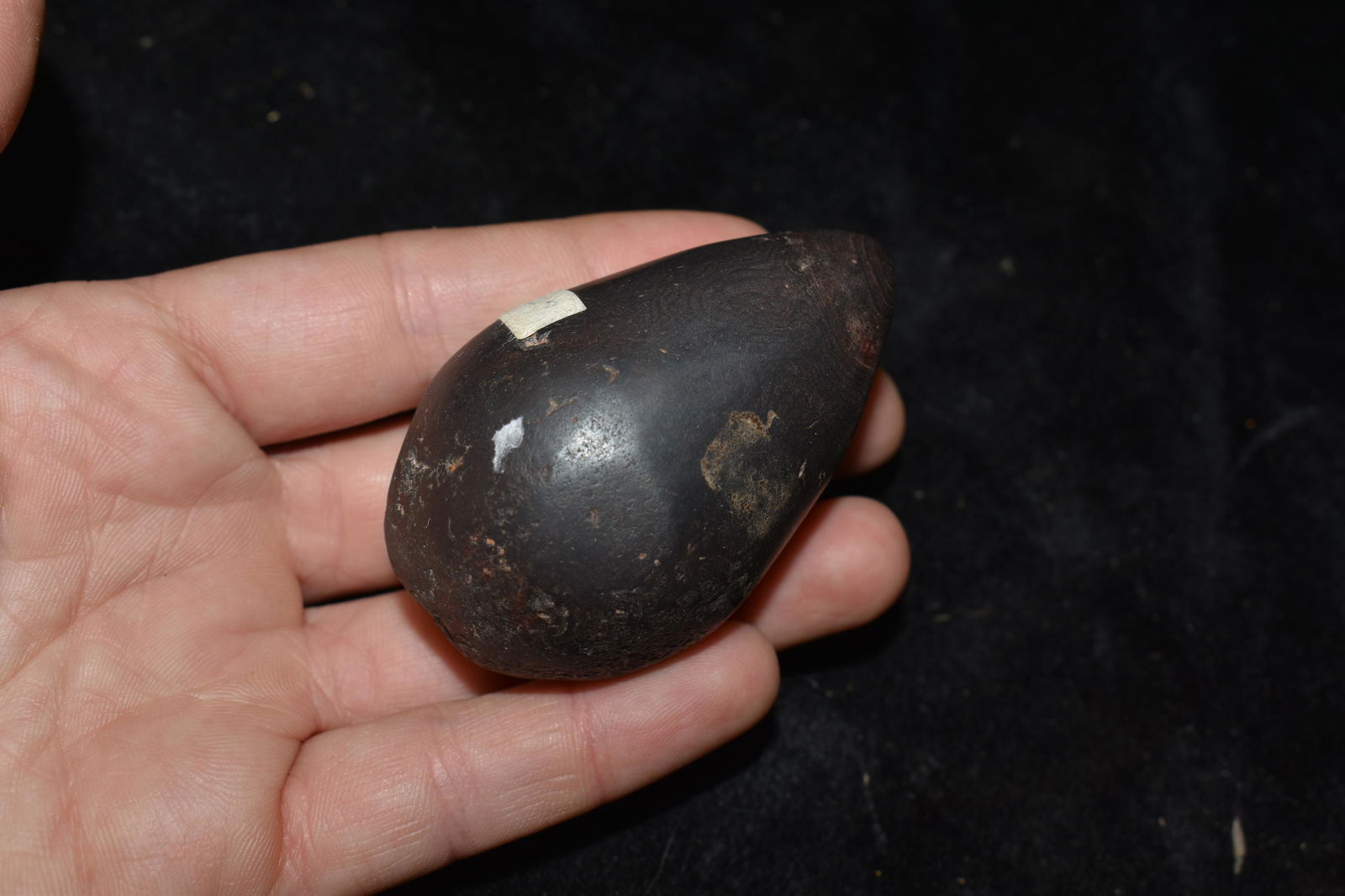 2 1/2" Hematite Plummet, Native American Artifacts: 2 1/2" Hematite Plummet, Found by Bill Ahrenkiel and Andy Scott in Sangamon Co, Native American Artifacts