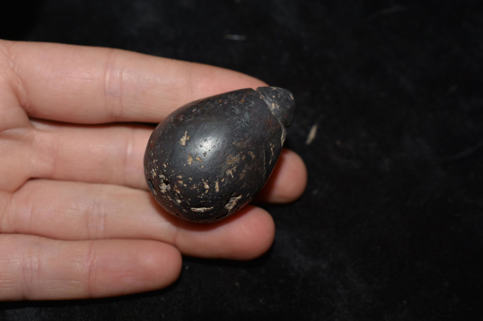 1 3/4" Plummet Native American Artifacts: 1 3/4" Plummet, Found by Bill Ahrenkiel and Andy Scott in Sangamon Co, Native American Artifacts