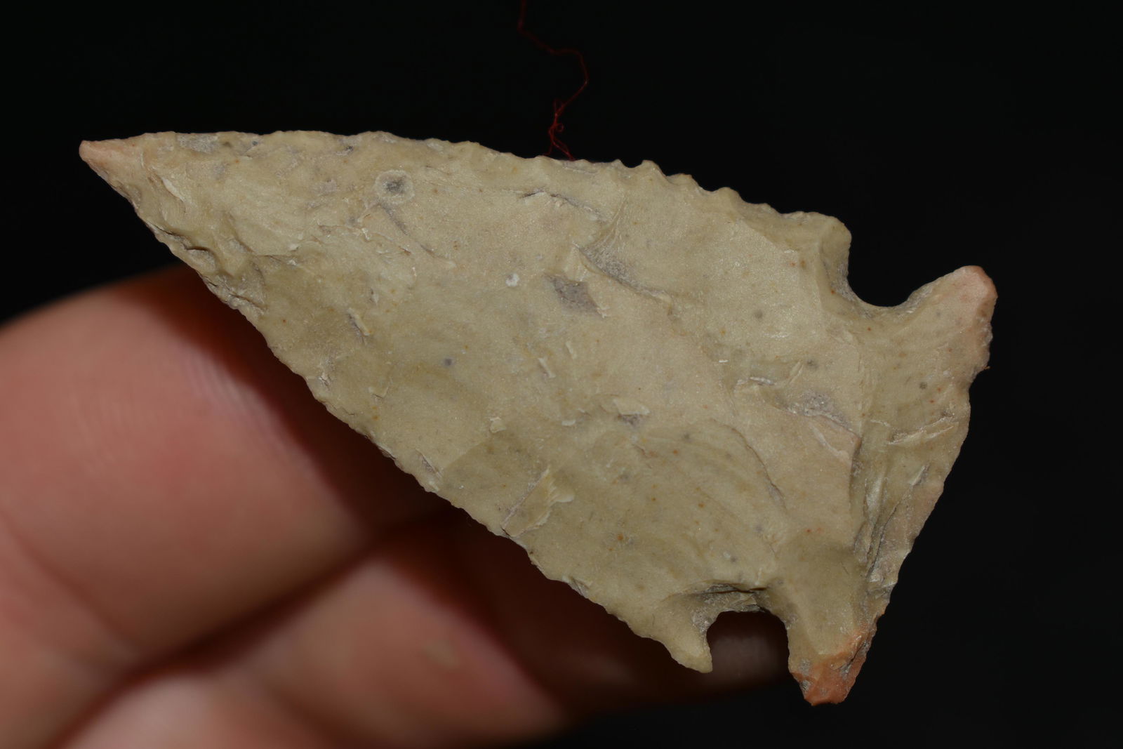 1 7/8" Corner Notched, Found in Williamson Co. Texas, (1 of 4)