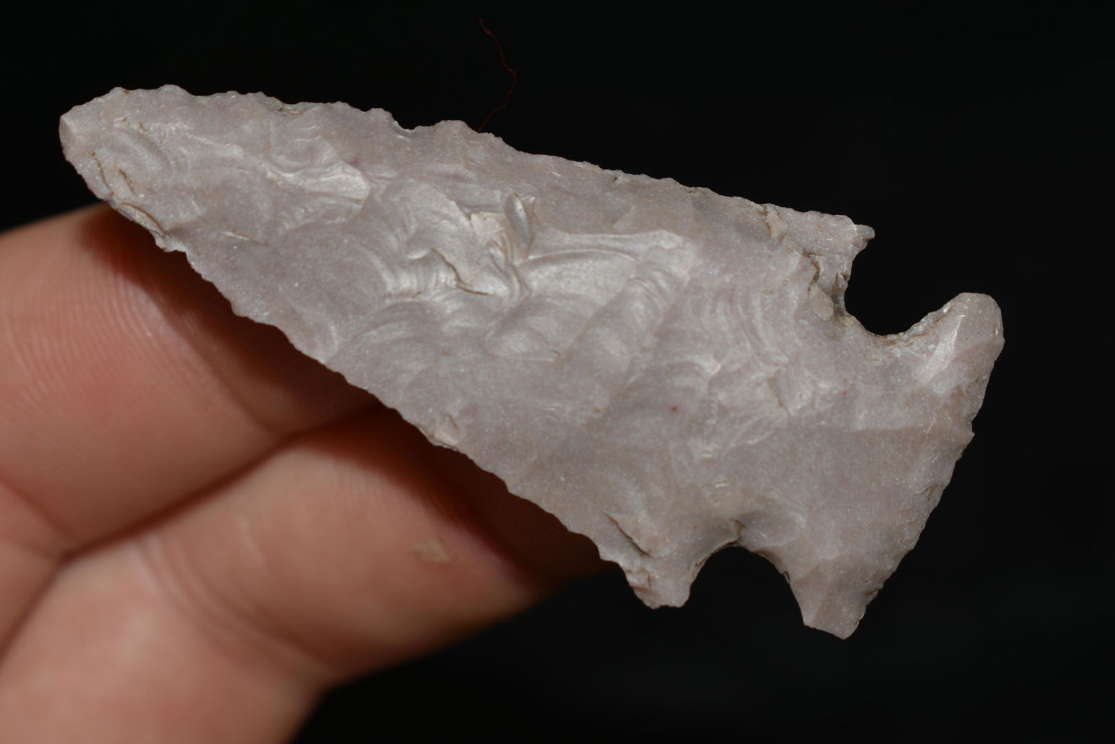 2 1/8" Ensor Found in Hamilton Co. Texas, Authentic (1 of 4)