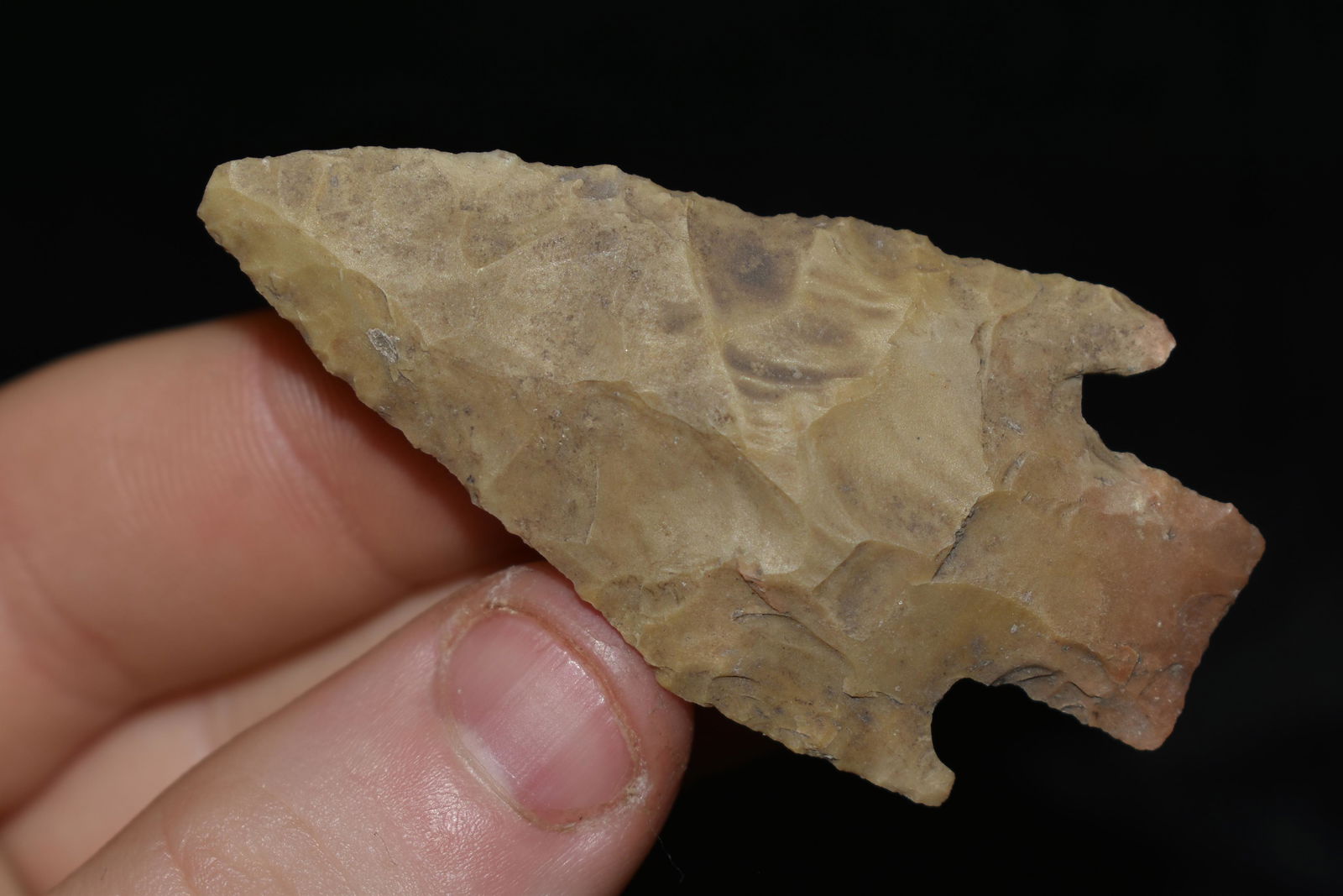 2 3/8" Castroville, Found in Texas, Authentic Native (1 of 4)