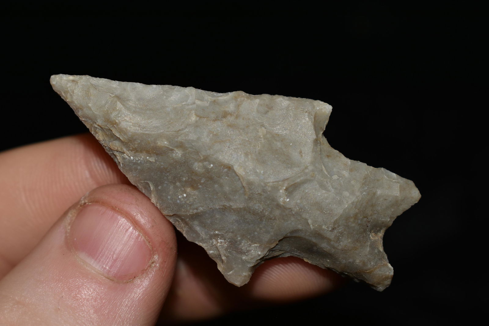 2 1/8" Perdenales, Found in Texas, Authentic Native (1 of 4)