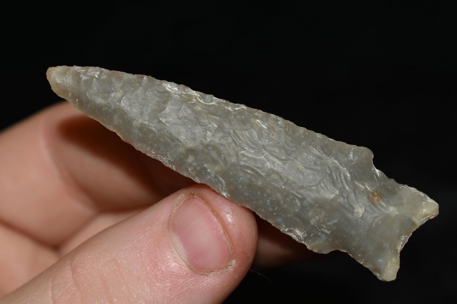 2 1/2" Early Stemmed Lanceolet, Found in Texas, (1 of 4)