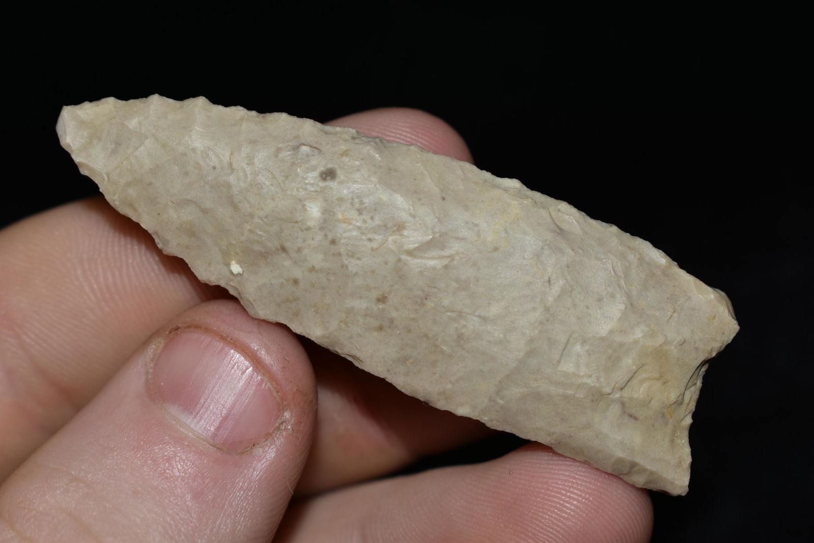 2 1/2" Dalton, Found in Texas, Authentic Native (1 of 4)