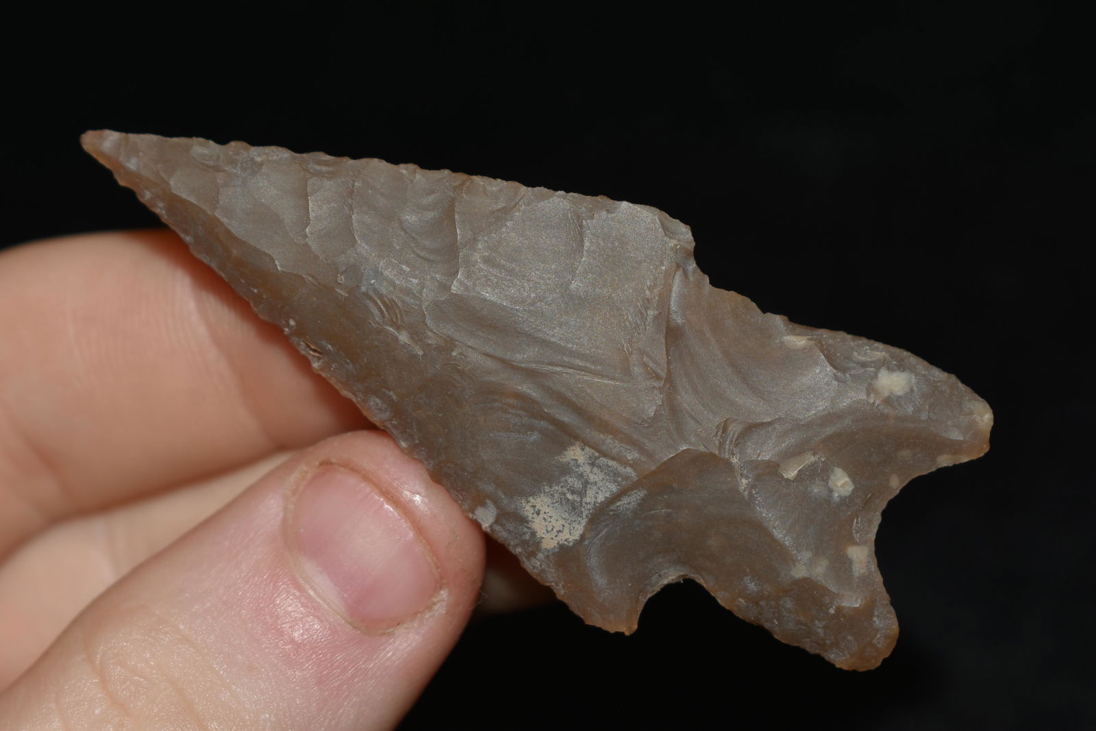 2 5/8" Perdenales, Found in Texas, Authentic Native (1 of 4)