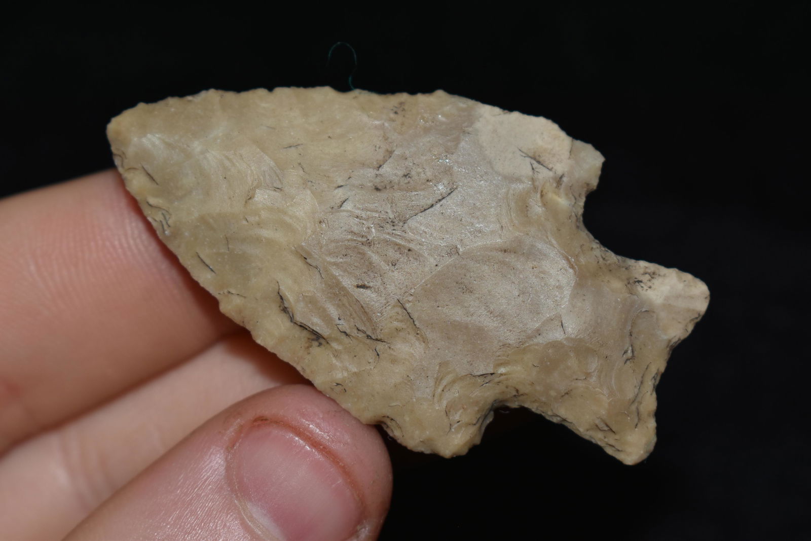 2 1/8" Perdenales, Found in Texas, Authentic Native (1 of 4)