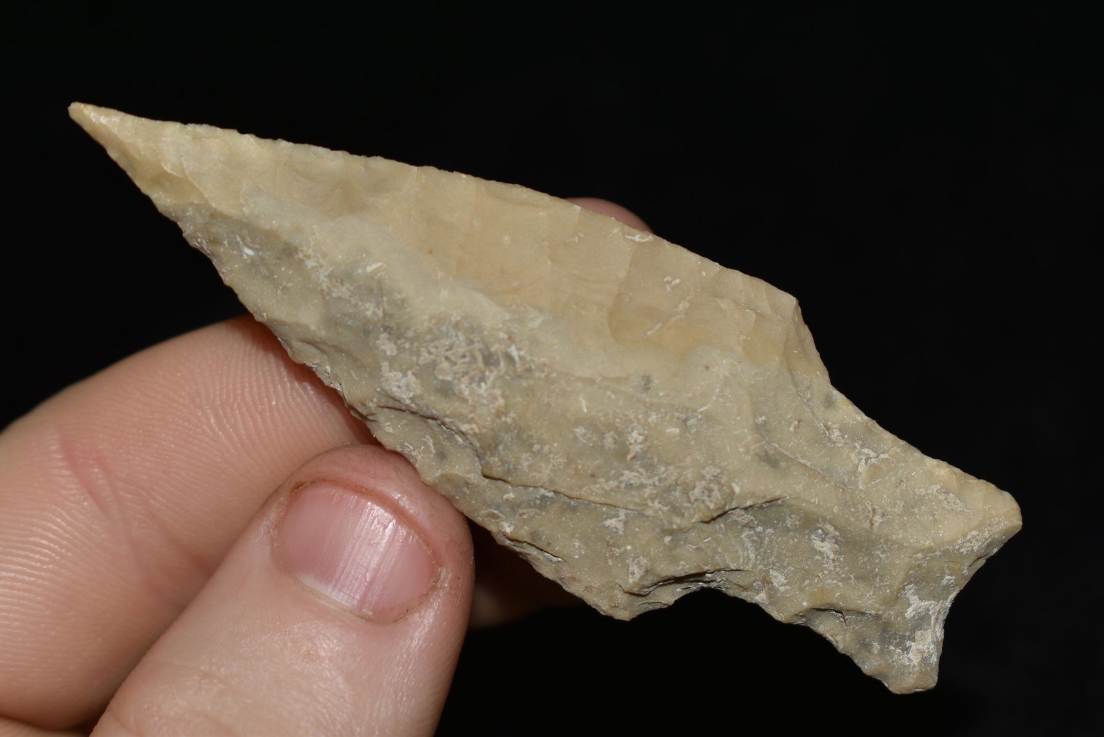 3" Nolan found in Texas, great Patination, authentic (1 of 4)