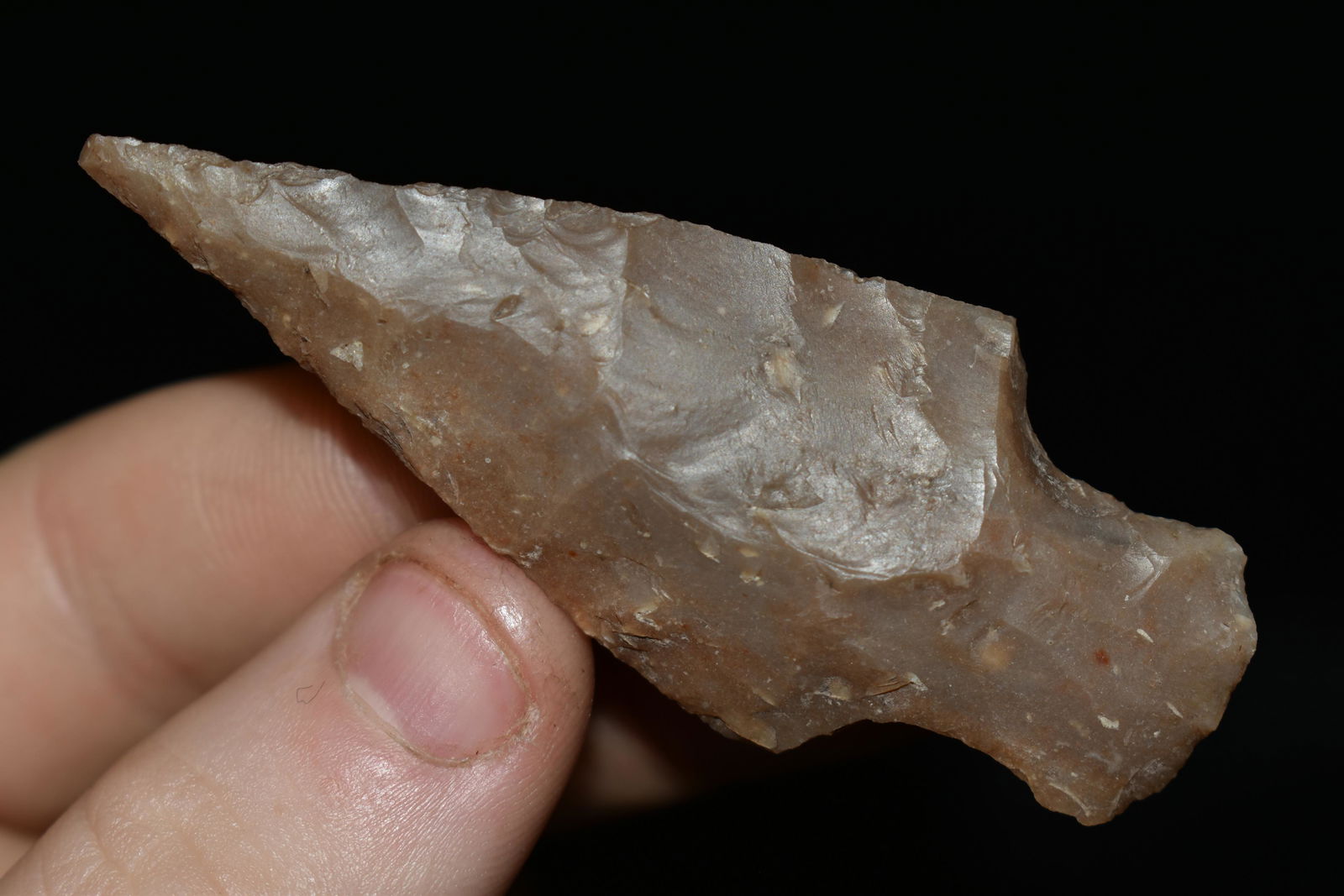 2 3/4" Steuben found in Texas, authentic Native (1 of 4)